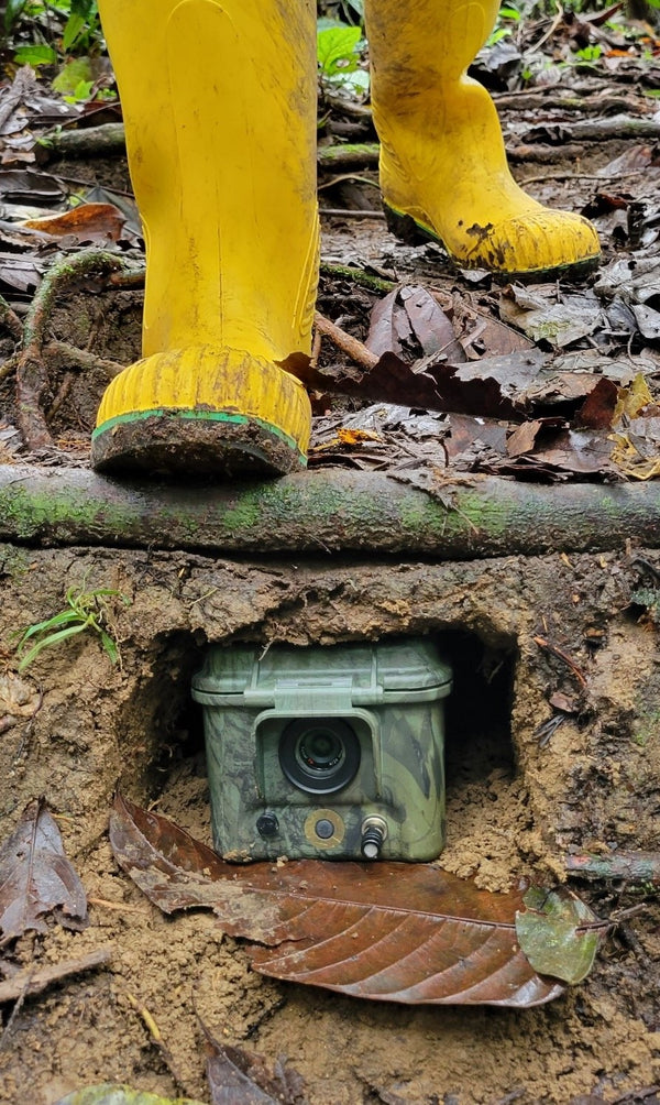 What's the difference between a trail-cam and a camera trap?