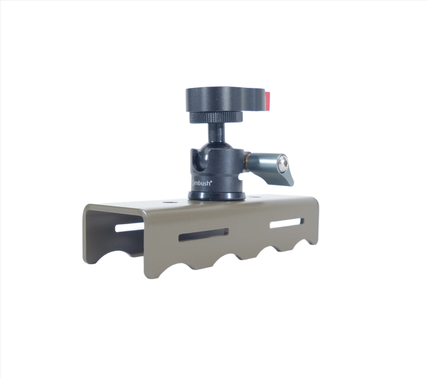 Stainless steel tree bracket fitted with mini ball head for Cambush camera trap